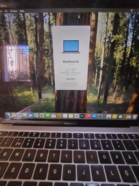 Apple m1 2020 16 ram